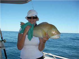 Mels first Baldchin groper