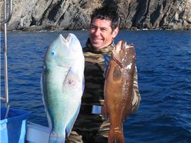 Blackspot tusk fish an nice  trout