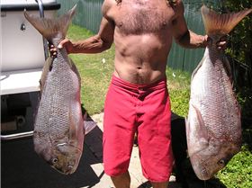 nice pair of west oz pinkis