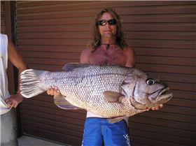 how about a real dhu   