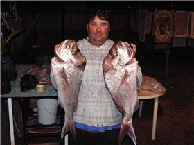 Snapper on Soft Plastics