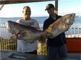 woodys and greg on a good day