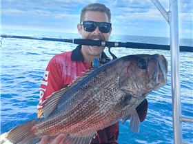 Early start shallow dhu