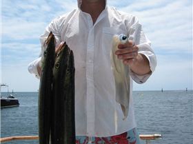 Feed of Pike and Squid Rotto