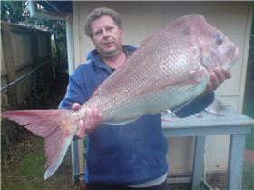 Snapper 9KG..on soft plastics