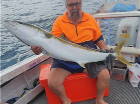 25kg yellowtail kingfish in 12 metres of water