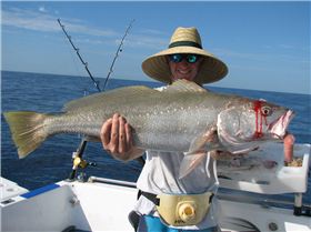 rockingham kgs/ derwent mulloway