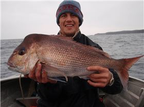 Soft Plastic, Catch and Release