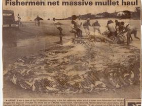  Fisherman netting mullet