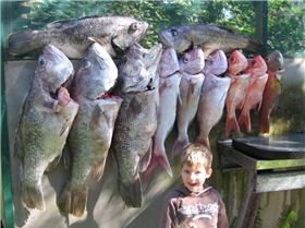 Miller very happy with a couple of 14kg Dhuies 