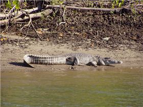 granddaughter first fish