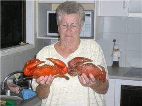 76 Year old Gran from Newcastle shows em how 