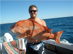 nice reds gnaraloo wa 