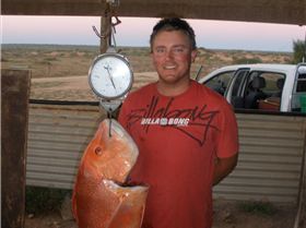 nice reds gnaraloo wa 