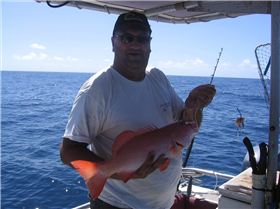 Bolte Reef came through again.