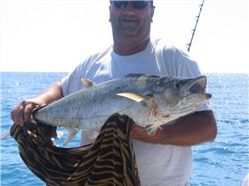 Bolte Reef came through again.