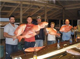 more nice reds gnaraloo 08 