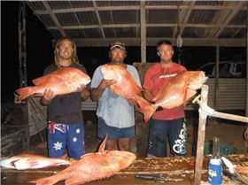 more nice reds gnaraloo 08 
