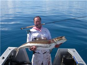 mabo's baby cobia on fly.