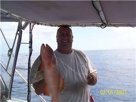 Another day off Bundaberg.Hmm Coral Trout on toast