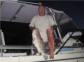 Another day off Bundaberg.Hmm Coral Trout on toast