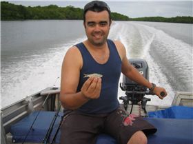 At least its not a BIRD...