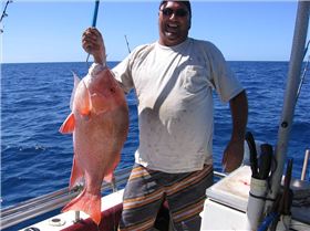 Just about when youre gonna give up.