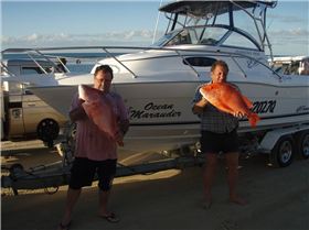 fraser 7kg & 7.5kg reds