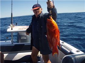 5 kg corination trout on fraser