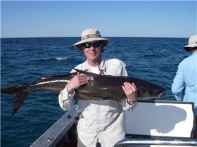 greenleaders first cobia (not a bad one)!