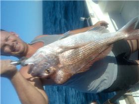 24 snapper southport