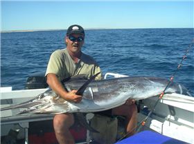 Black Marlin wider than the boat