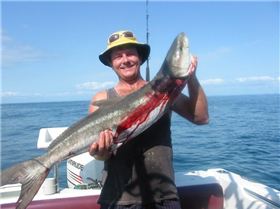 cobia off Morteon island