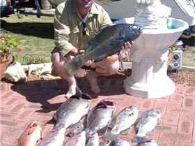 same quality day off mandurah