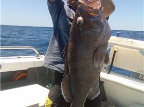 rich wants to be steve