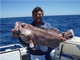 rich wants to be steve