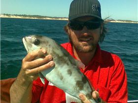 2 sambos 1 easy 1 hard on 4kg bream gear