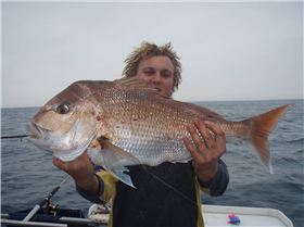  Great trip with Proline Charters from Sorrento