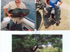 windy harbour payday