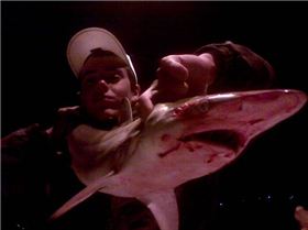 my black tip cought at woodmans point jetty