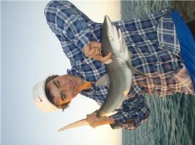 my bronzie, my m8s spaniard