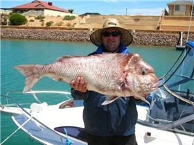 19.5kg snapper caught off Wallaroo SA