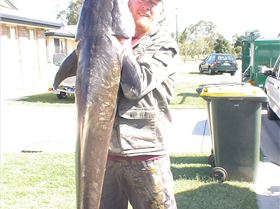 NOT BAD FOR MORETON BAY