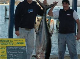 On my first attempt ever at fishing for Tuna......