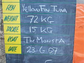 On my first attempt ever at fishing for Tuna......