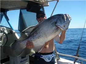 good days fishing off bunbury