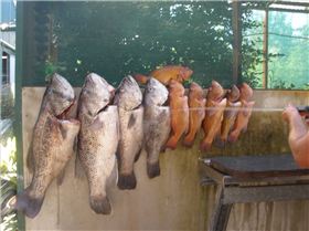 good days fishing off bunbury