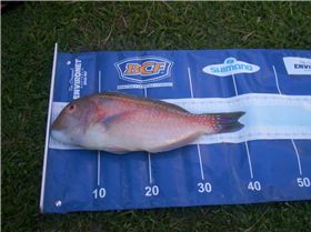 Fishing with the boys