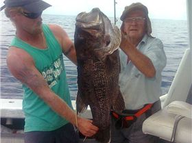 83 yr old pop was on a roll 85cm Dewy