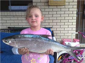 not a bad catch for crab bait